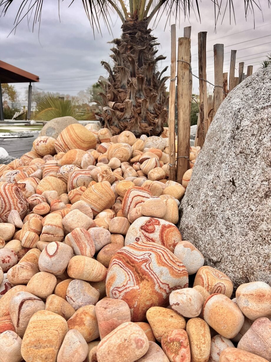 GALETS SATURNE – Image 3