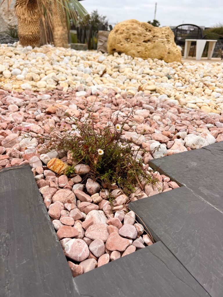 GALETS MALAGA – Image 2