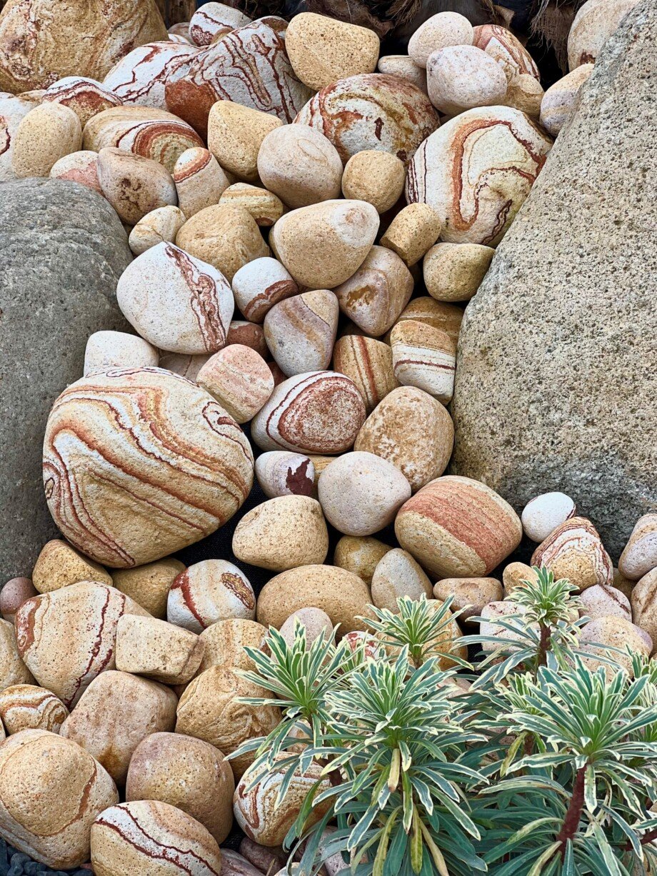 GALETS SATURNE – Image 2