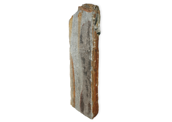 MONOLITHE GNEISS