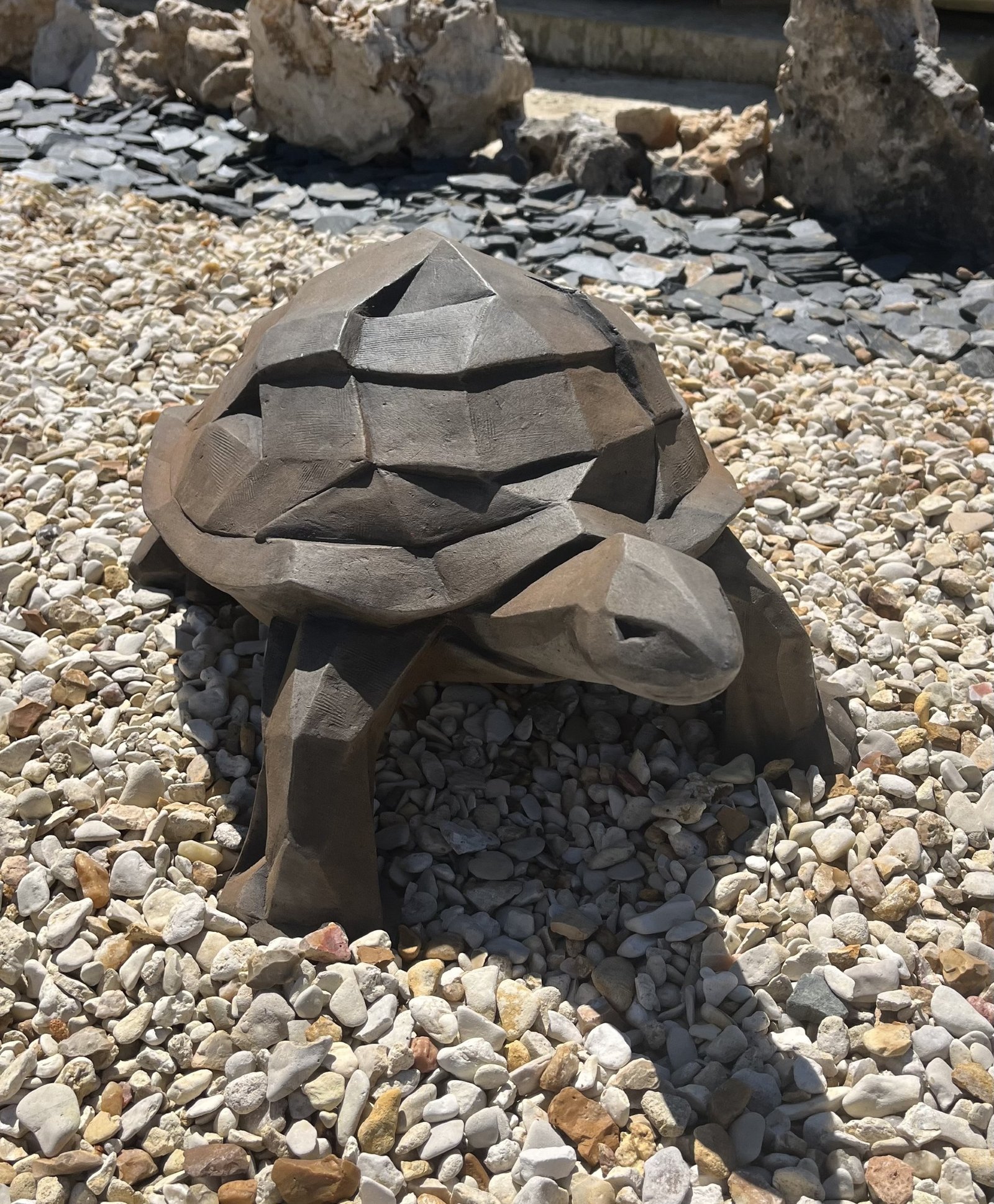 TORTUE DEMI-ROUILLE – Image 3