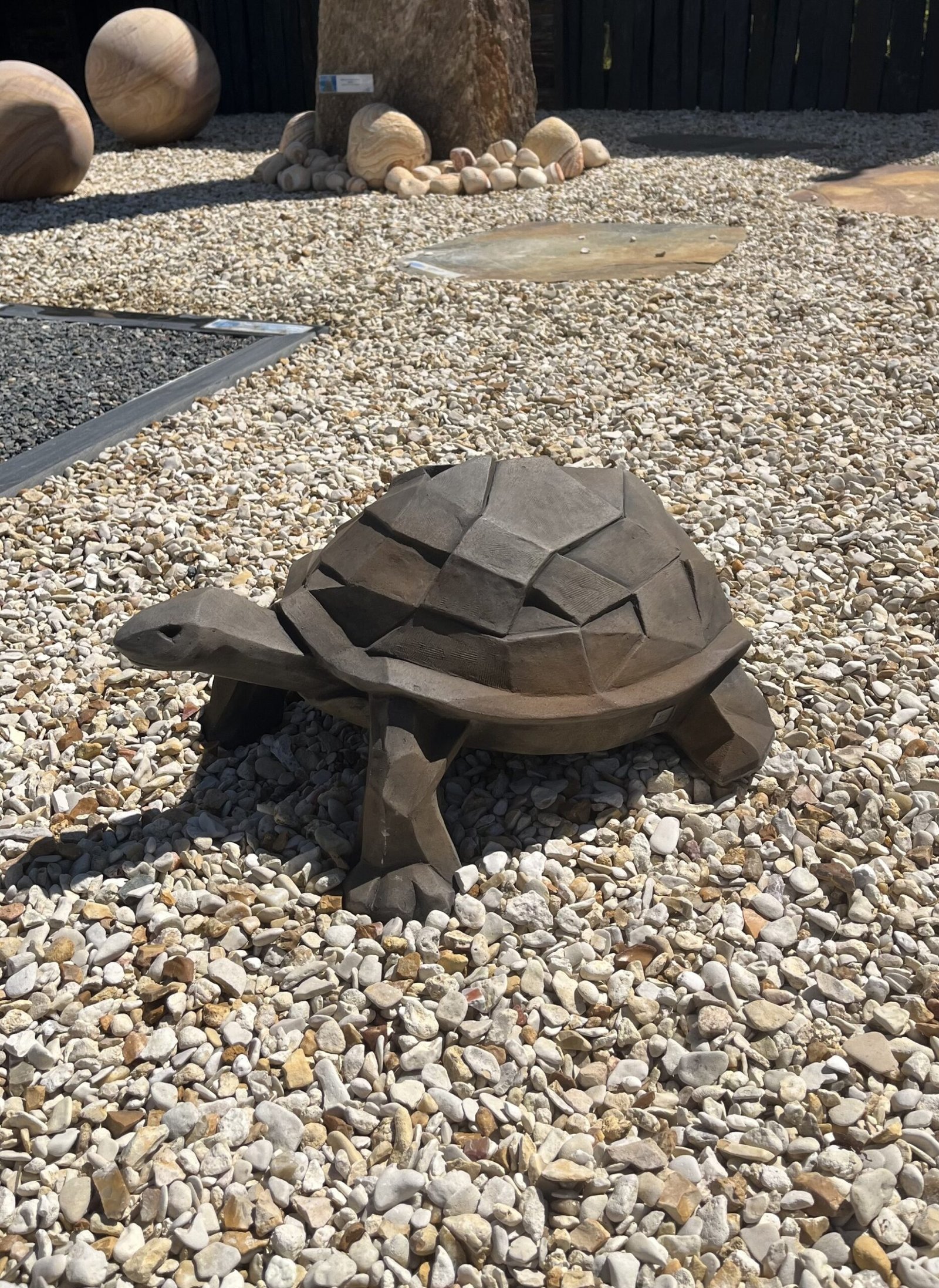 TORTUE DEMI-ROUILLE – Image 2