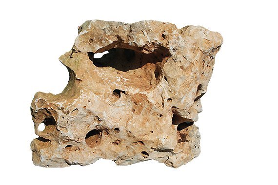 ROCHER COIMBRA TROUEES