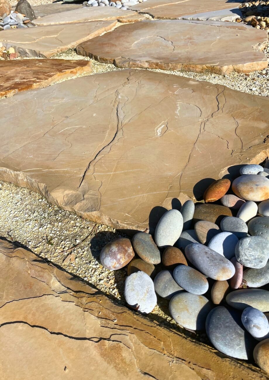 PAS JAPONAIS ARAGONE – Image 2