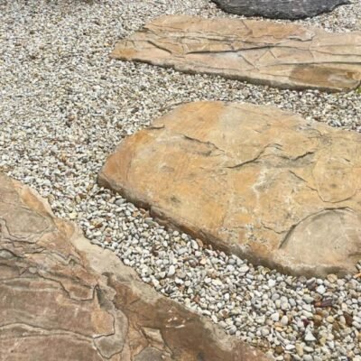 PAS JAPONAIS ARAGONE