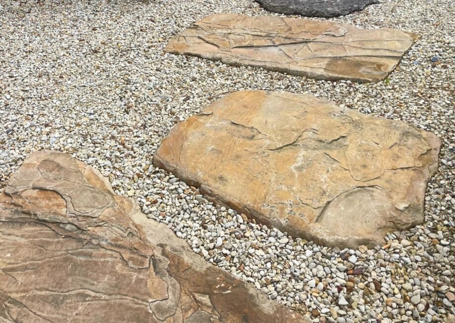 PAS JAPONAIS ARAGONE